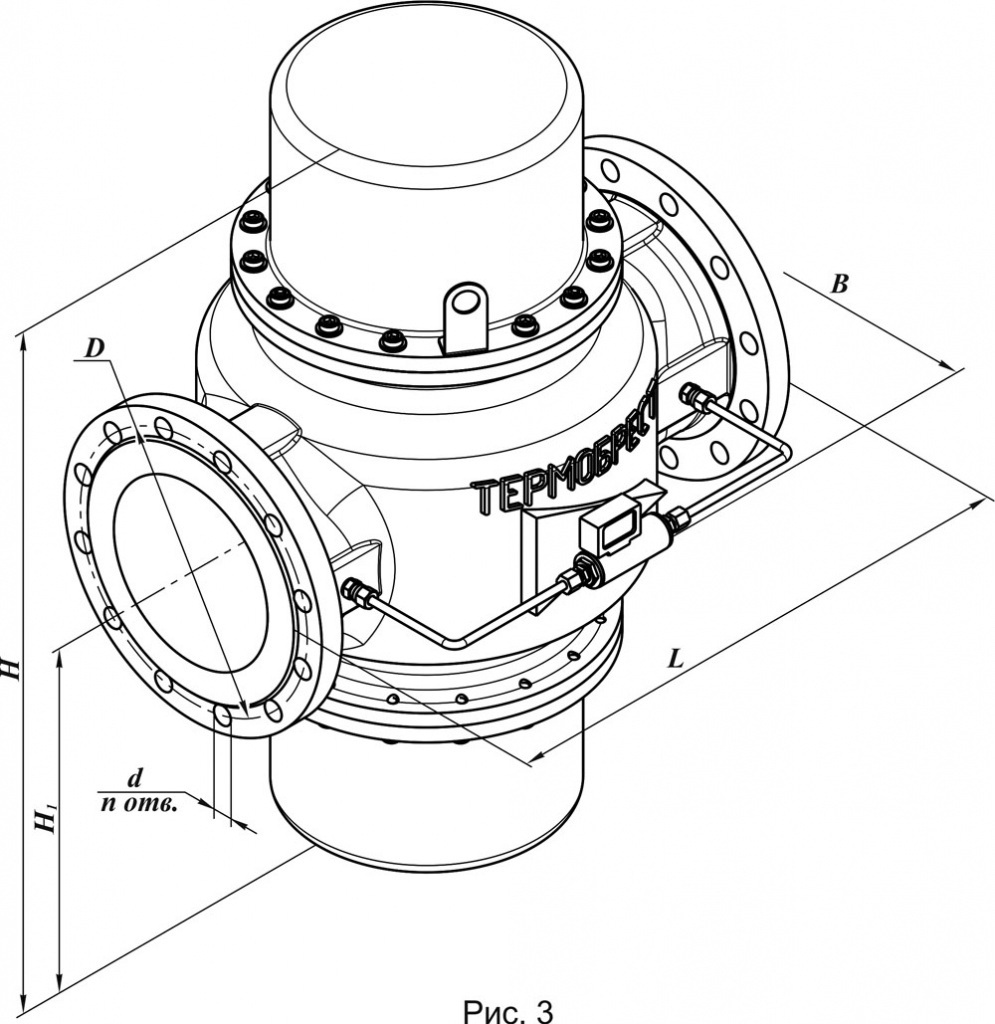 Фильтры стальные, фланцевые DN 40-300 , с ИЗФ, схема 2