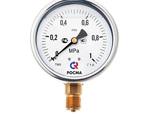 Манометр ТМ-520Р (0-2,5 МПа) G1/2 глицерин